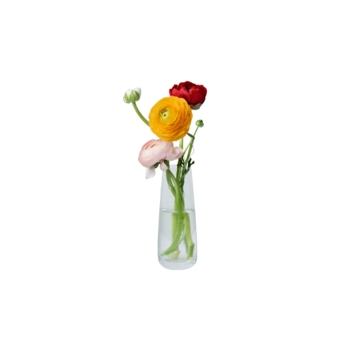 Flower Vases