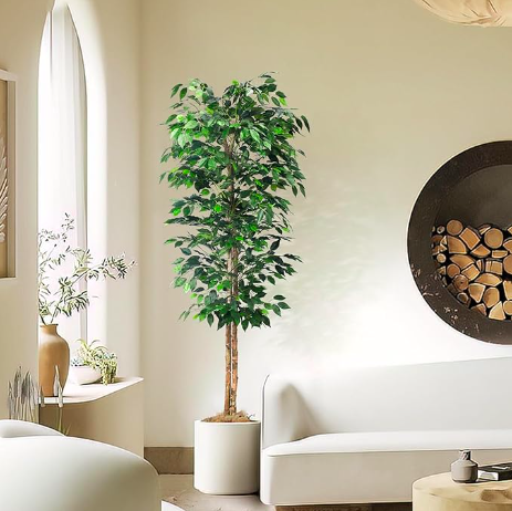 6FT Artificial Ficus Tree with Realistic Leaves and Natural Trunk, Faux Ficus Tree with Sturdy Plastic Nursery Pot, Fake Ficus Tree for Office Home Farmhouse for Indoor Outdoor Decor